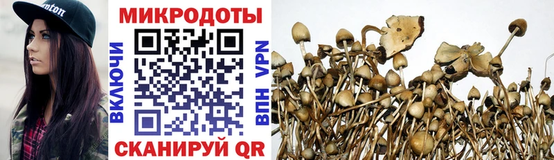 Купить где  Шилка  Галлюциногенные грибы Magic Shrooms 