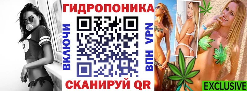 Бошки Шишки Bruce Banner  Купить  Шилка 